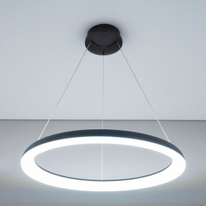 Подвесная люстра Odeon Light Changi 4979/12