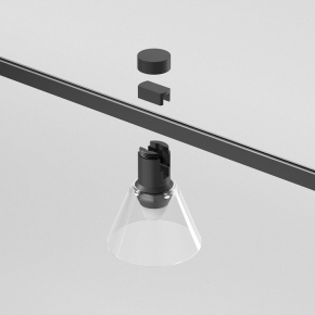 Подвесная люстра Lumien Hall Emelin LH3066/10P-SL-CL