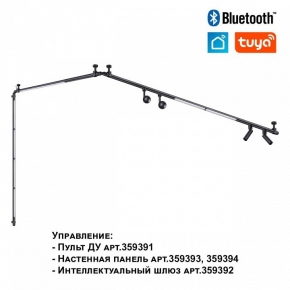 Подвесной светильник Indigo Canto 11026/5PL Black