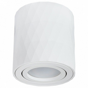 Потолочный светильник Arte Lamp Fang A5559PL-1WH