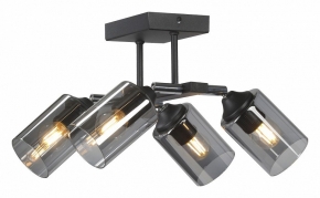 Потолочная люстра Vitaluce V2833-1/4PL