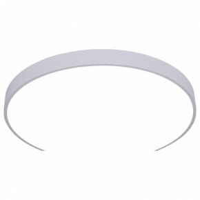 Потолочный светодиодный светильник Arte Lamp Arena A2671PL-1WH