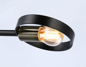Настенно-потолочный светильник Eurosvet 60301/3 хром/венге