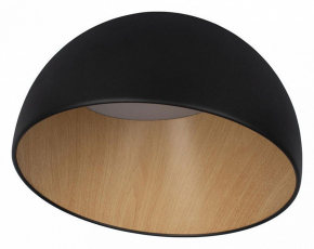 Потолочный светильник Loft IT Egg 10197/350 Black