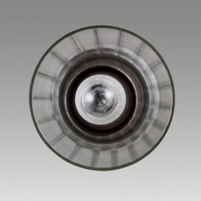Потолочная люстра Rivoli Jennifer 9104-305 Б0053411