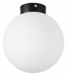 Настенно-потолочный светильник Lightstar Globo 812027