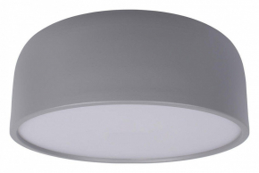 Потолочный светильник Loft IT Axel 10201/350 Grey