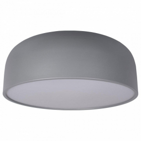 Потолочный светильник Loft IT Axel 10201/480 Grey
