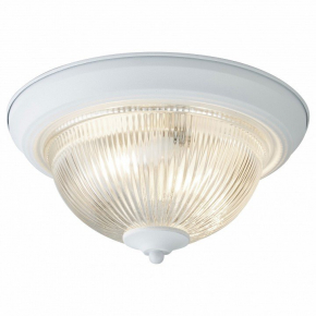 Потолочный светильник Arte Lamp Aqua A9370PL-2WH