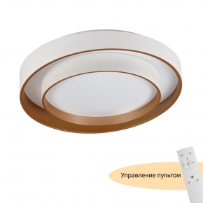 Потолочный светильник Rhea MR9161-CL