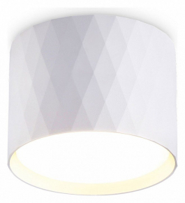 Накладной светильник Ambrella Light TN TN5358