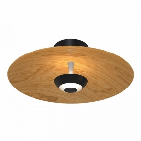 Потолочная люстра Umbrella 10218/6LED 85W