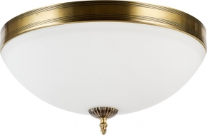 Потолочный светильник Biene MR1528-4C
