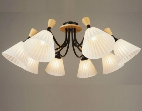 Потолочная люстра Мелодия Света SS1N 0000 20876