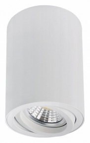 Точечный светильник Sentry A1566PL-1WH
