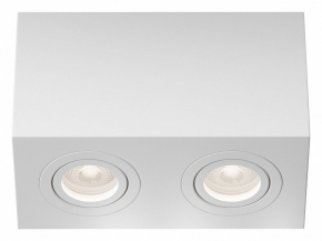 Потолочный светильник Maytoni Technical Atom C017CL-02W