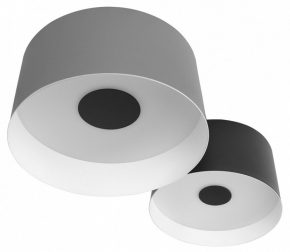 Потолочный светодиодный светильник Loft IT Duo 10360/2