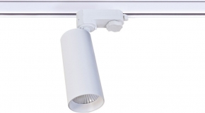 Трековый светильник Rollo DL18895R30W1W Track