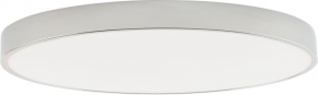 Потолочный светильник Tortty ZRS.02565.96
