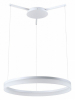 Подвесной светодиодный светильник Moderli Via V1720-PL