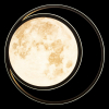 Потолочная люстра Luna 10217