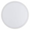 Настенно-потолочный светильник Basic Line CL738320VL