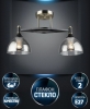 Потолочная люстра Giordzhi WD3620/2C-AB-BK-SMK