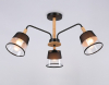 Потолочная люстра Modern Losk TR4740
