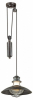 Уличный подвесной светильник Odeon Light Dante 4164/1A