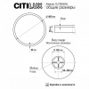 Настенно-потолочный светильник Basic Line CL738320VL