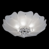 Потолочная люстра Lightstar Lobo 804020