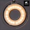 Потолочный светильник Arte Lamp Fascio A8971PL-4CC