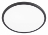 Настенно-потолочный светильник Basic Line CL738321VL