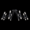Потолочная люстра Maytoni Modern MOD620CL-16B