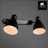 Настенно-потолочный светильник Arte Lamp Mercoled A5049AP-2BK