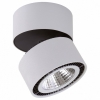 Точечный накладной светильник Lightstar Forte Muro 214830