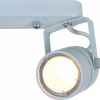 Настенно-потолочный светильник Arte Lamp Lente A1310PL-2WH