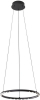 Подвесной светильник Магни 08557-40,19