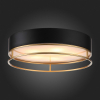 Потолочный светильник ST Luce Chodo SL1127.432.05