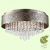 Потолочный светильник Lussole Loft GRLSP-8025