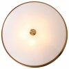 Потолочный светодиодный светильник Odeon Light Sole 4062/50CL