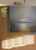 Подвесная люстра Lussole Montone GRLSF-2503-04
