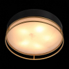 Потолочный светильник ST Luce Chodo SL1127.432.05