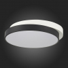 Торшер Wertmark Arctioma WE126.11.305