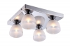 Потолочный светильник Arte Lamp Aqua A9501PL-4CC