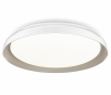 Накладной светильник Citilux MEGA CL752351G