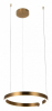 Подвесной светодиодный светильник Loft IT Ring 10013M