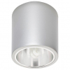 Потолочный светильник Nowodvorski Downlight 4867