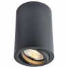 Потолочный светильник Arte Lamp A1560PL-1BK