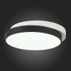 Потолочный светильник Evoluce Qvo SLE200702-01